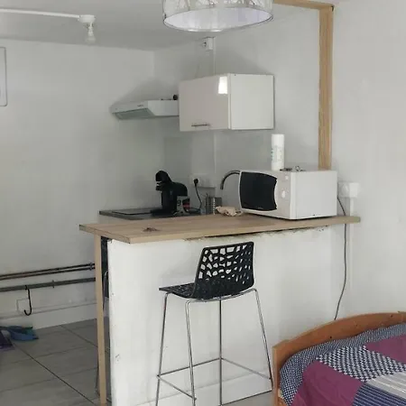 Apartment Studio Renove Au Bord Du Gers *